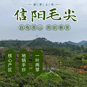 【2瓶 送礼袋 直降20】明前茶信阳毛尖（20260415之后发货）