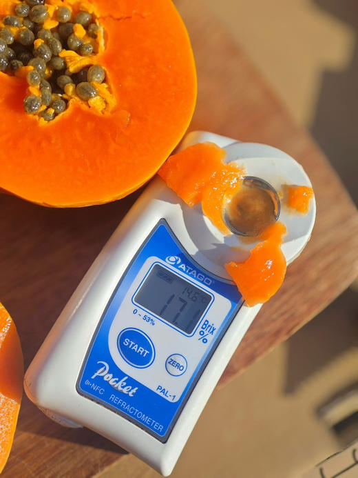 海南树熟蜂糖木瓜 商品图3