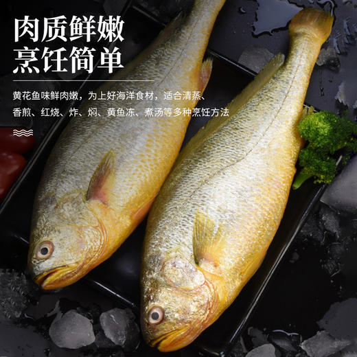 有机大黄鱼/有机黄鱼鲞，12项药残未检出，无抗有机双认证，生鲜冷冻安心美味，顺丰发货 商品图1