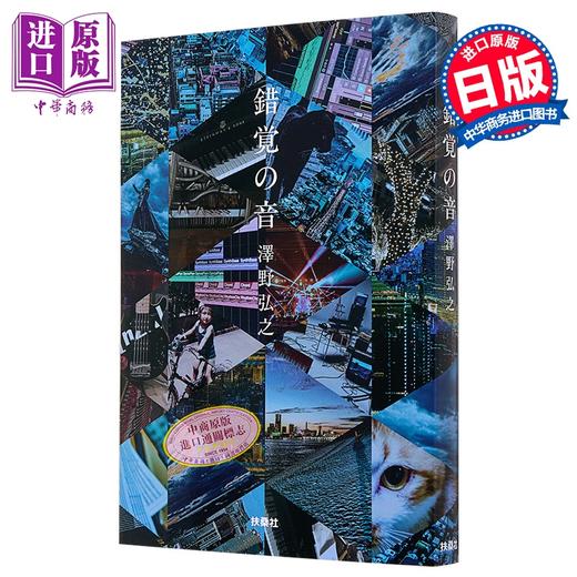 【中商原版】错觉之音 泽野弘之20周年纪念随笔集 日文原版日韩 錯覚の音 澤野弘之 医龙 机动战士高达闪光的夏亚 商品图0