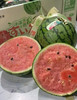 【金奖·冰淇淋糖丸小西瓜】🍉沾刀即裂，沾牙即碎，入口即化!
我……无法形容的酥脆! 商品缩略图2