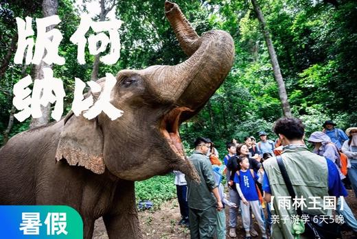 【暑假】何以版纳，当自然王国开始说话【树语】6天5晚 商品图0
