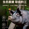 【4盒装】无抗生素无激素纯粮黑土猪肉肉馅手工早餐速食抄手 商品缩略图1