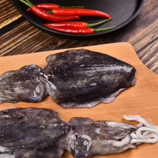 【浙江舟山海捕】东海新鲜速冻墨鱼4只装（每只200g~300g，总重量不低于1000克） 商品图0