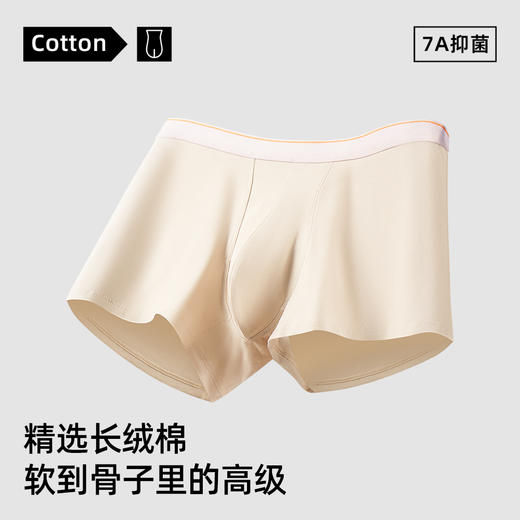 【春季上新】100% 长绒棉内裤 · 60s 四季款棉内裤 商品图4