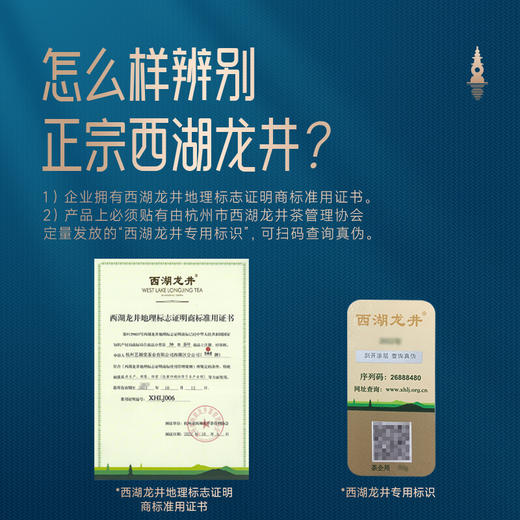 【新茶上市】艺福堂明前特级西湖龙井50g/罐瓷罐2026年新茶 商品图3