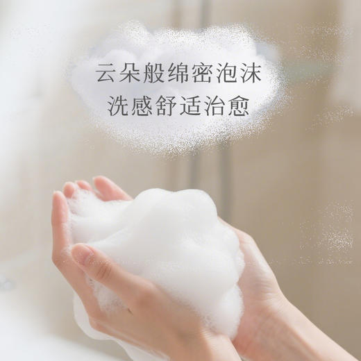 芬缘FUMARE肌肤之歌系列香氛洗手液精油护手不干手保湿清洁泡沫 商品图1