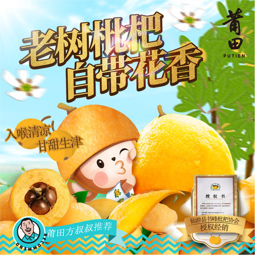 莆田好食材 |  莆田书峰老树早钟枇杷，限量供应，包邮到家！ 商品图2