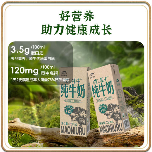 青藏祁莲祁连山牧场 牦牛乳含量≥60% 250ml*12盒*4箱 商品图1