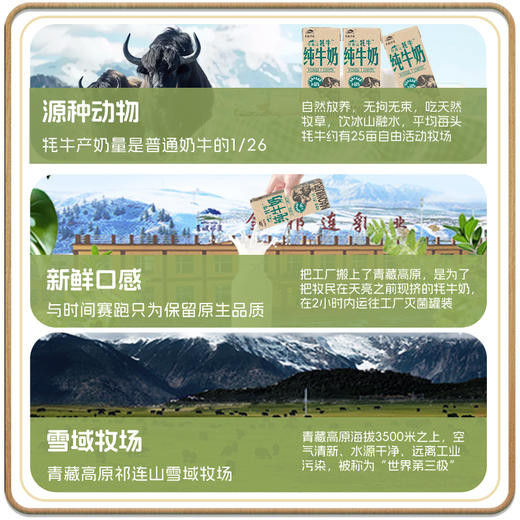 青藏祁莲祁连山牧场 牦牛乳含量≥60% 250ml*12盒*4箱 商品图2