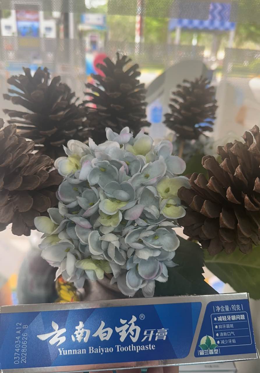 云南白药 牙膏 90G（仅限钦州鼓雪站自提）