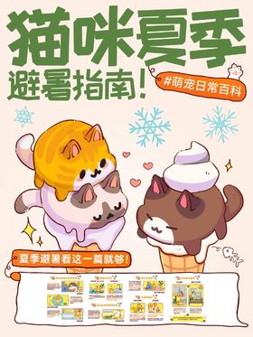 🙀怕猫咪太热❓这几招清凉降温的办法收好🧊