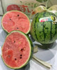 【金奖·冰淇淋糖丸小西瓜】🍉沾刀即裂，沾牙即碎，入口即化!
我……无法形容的酥脆! 商品缩略图1