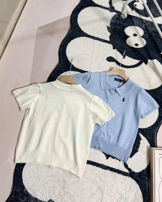 F032525春夏新款休闲百搭翻领领口小马刺绣针织Polo衫T恤 商品图1
