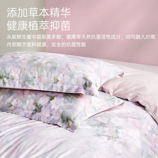 莱赛尔棉抗菌四件套(月亮花房) 商品图3