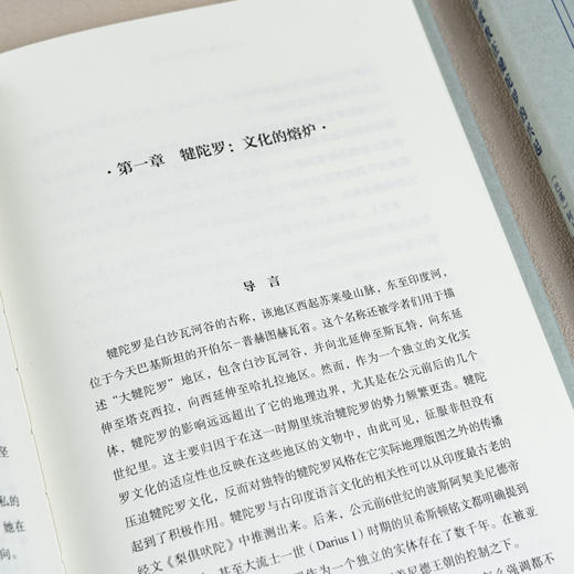 印度教在犍陀罗的兴起 商品图8