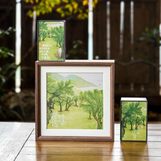 30元一套 / 一箱12套 春天礼物 【双罐 草绿色】 商品图4