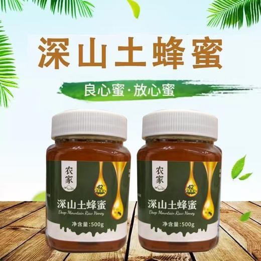升级土家蜂蜜  更好的蜜源  农家自产生态蜜 500g/瓶 商品图1