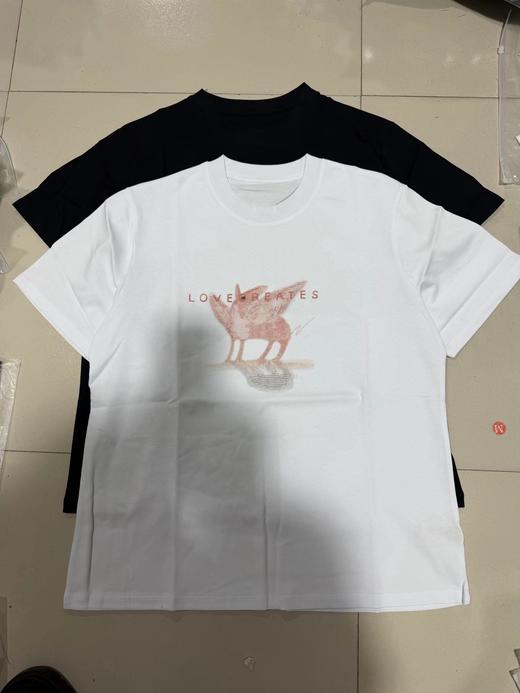 F032574夏季新款飞马刺绣圆领宽松休闲百搭短袖T恤 商品图0