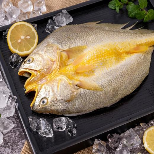 有机大黄鱼/有机黄鱼鲞，12项药残未检出，无抗有机双认证，生鲜冷冻安心美味，顺丰发货 商品图4