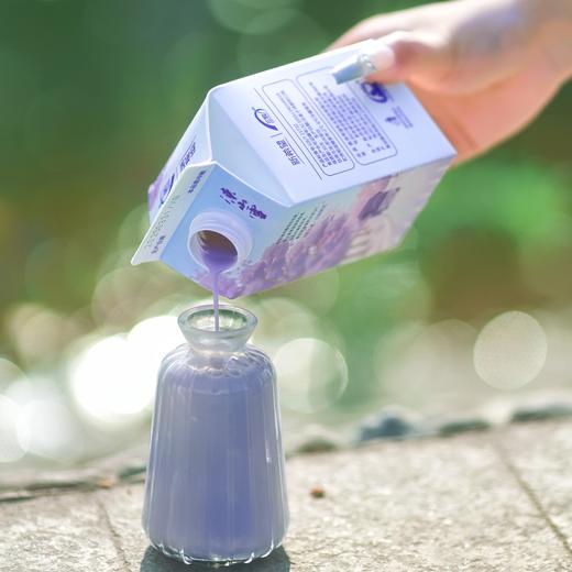 蓝花楹●季节限定 凉山雪蓝花楹500ml*6瓶组合装整箱整件 商品图4