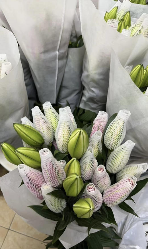 【精品百合】重瓣百合-好奇心  粉色  5枝/扎  3 头 商品图7