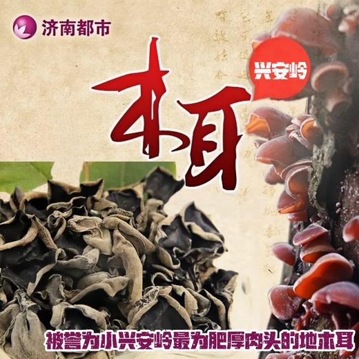 热销推荐【自营】小兴安岭黑木耳 商品图0