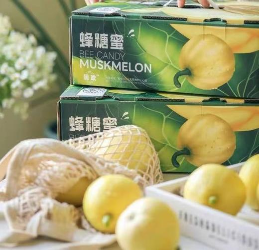 【会员21.5/斤】妮欢蜂糖蜜马连庄甜瓜 商品图1