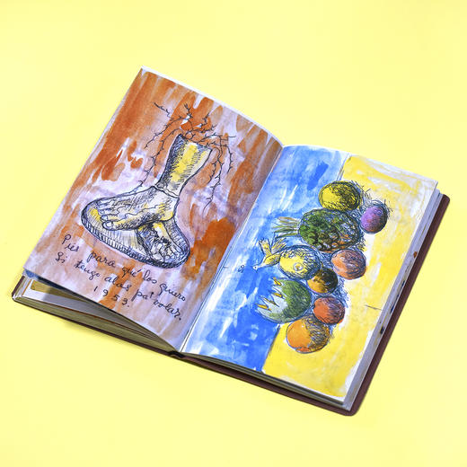 弗里达·卡罗日记：一部私密的自我画像 商品图11