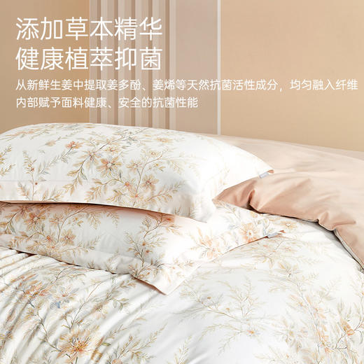 莱赛尔棉抗菌四件套(尤加利晨光) 商品图3