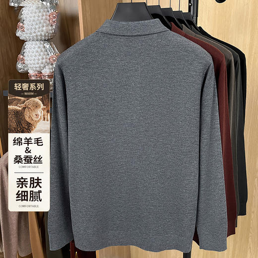 安东尼奥A&N 【绵羊毛&桑蚕丝】秋季薄款翻领休闲男士POLO针织衫7165398 商品图3