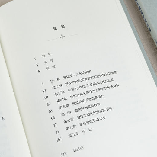 印度教在犍陀罗的兴起 商品图7