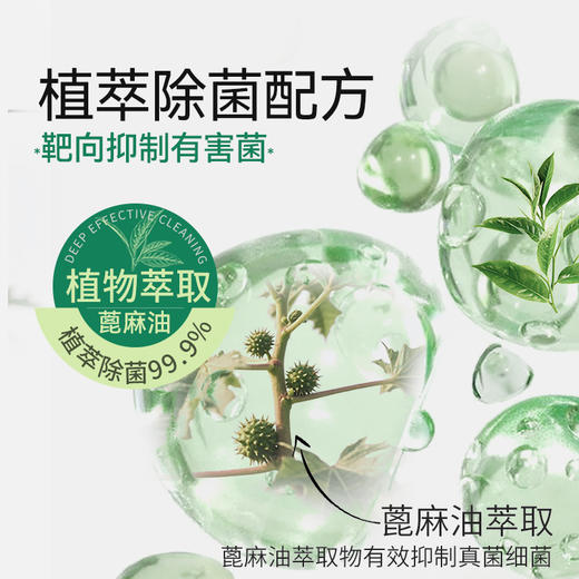 白倍极 空调清洁剂 550ml/瓶 植物基香氛 天然留香 全机型通用 高泡渗透污渍 送清洁工具 商品图4