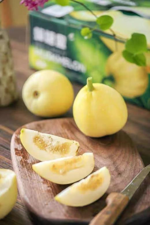 【会员21.5/斤】妮欢蜂糖蜜马连庄甜瓜 商品图5