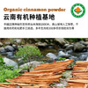 云南文山【凤禾鸣】有机肉桂粉 四国有机认证 颜色均匀 香气浓郁 无杂质 健康安全 商品缩略图4