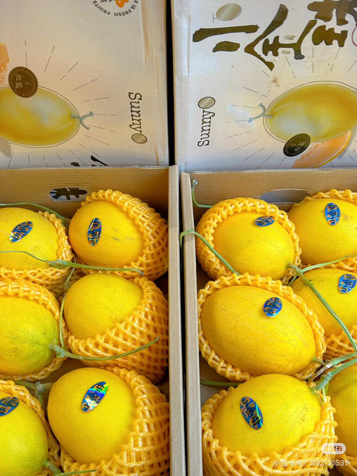 海南小金珠甜瓜一个品尝装 商品图3