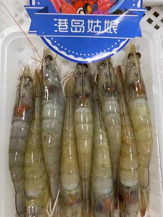 xm 今日100%新鲜回港，即将售空！！！！“断货王”白笋虾，强势回归 带有虾膏的顶级海虾！顺丰冷链活冻锁鲜到家 商品图0