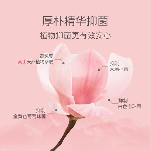 贝德美氨基酸内衣裤洗衣液宝宝内裤去黄去渍 商品图1