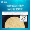 华畜硅藻藻种水产养殖小球藻绿藻鱼虾蟹水产复合藻种调水肥水培藻 商品缩略图2