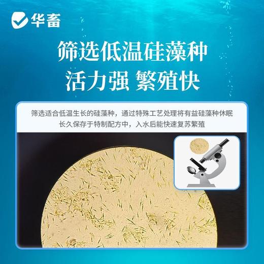 华畜硅藻藻种水产养殖小球藻绿藻鱼虾蟹水产复合藻种调水肥水培藻 商品图2