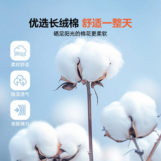 女童内衣两件装春季新款安奈儿童装JG627671 商品图3