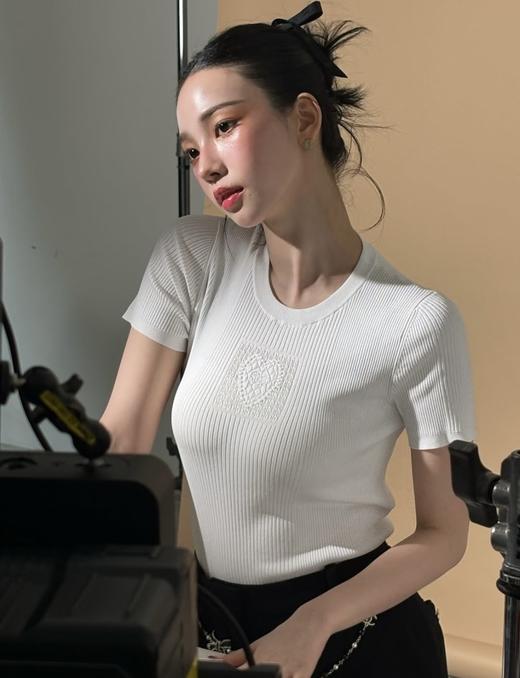 女款修身短袖针织衫ba025 商品图1