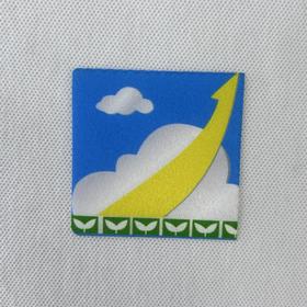 通版佛山市顺德区陈村镇青云小学包边校徽姓名贴章熨烫现货发51