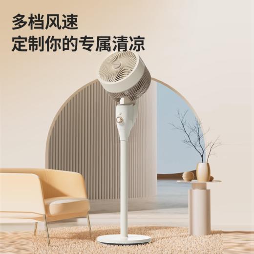 美菱MPF-LX5305电风扇（机械循环扇） 商品图1