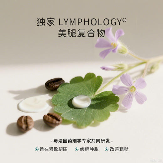【美专保税】Legology 纤盈紧致美腿霜 175ml/罐（效期至27年7月左右）赠理疗杯*1 商品图2