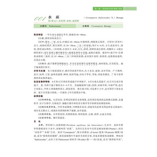 慈溪珍稀濒危植物图鉴/徐绍清 徐路遥 马丹丹 著/浙江大学出版社 商品图1