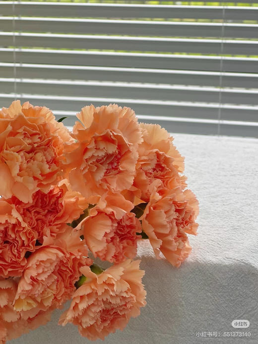 【2026.4.3】特价：1扎20枝A级橙光康乃馨25.9（现货 下单即可到店自提） 商品图5