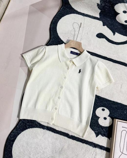F032525春夏新款休闲百搭翻领领口小马刺绣针织Polo衫T恤 商品图4