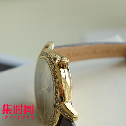 原单阿玛尼AR11604 女士腕表
机芯：原装进口石英机芯 商品图6