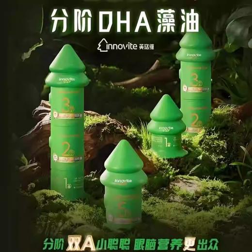 【源码】英珞维聪聪森林分阶1-5阶DHA儿童海藻胶囊 商品图0